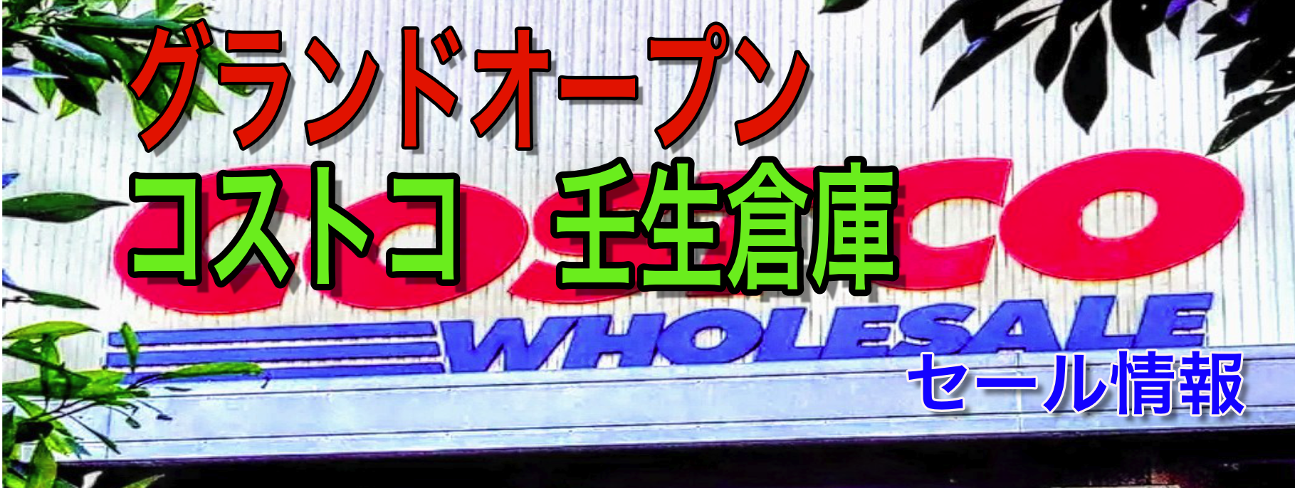 コストコ壬生倉庫がグランドオープンで大混雑 セール情報